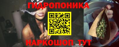 экстази Кингисепп