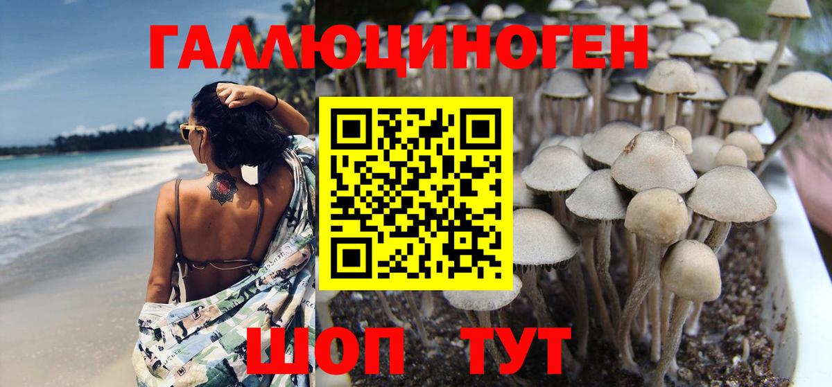Псилоцибиновые грибы прущие грибы Тавда