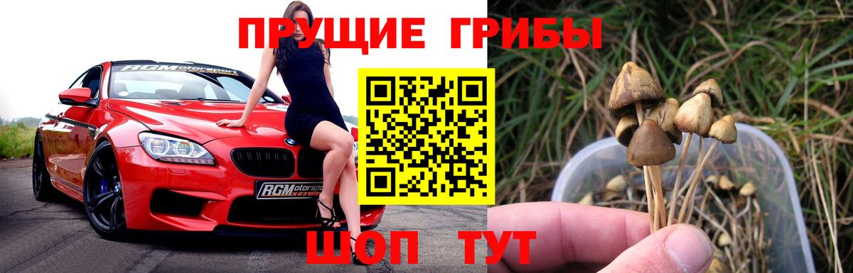 Тавда  Галлюциногенные грибы MAGIC MUSHROOMS  Вход с VPN 