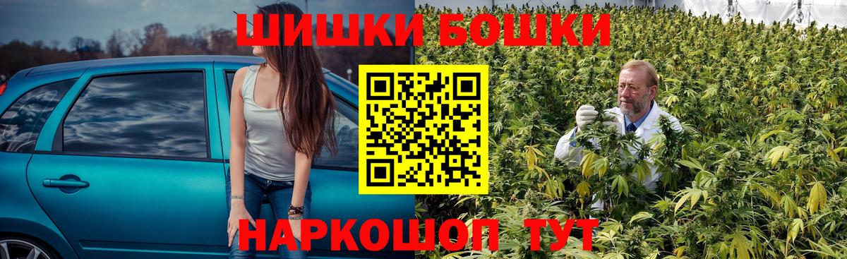 Конопля сатива Тавда